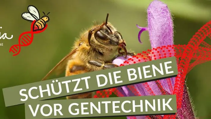aurelia_biene_gentechnik